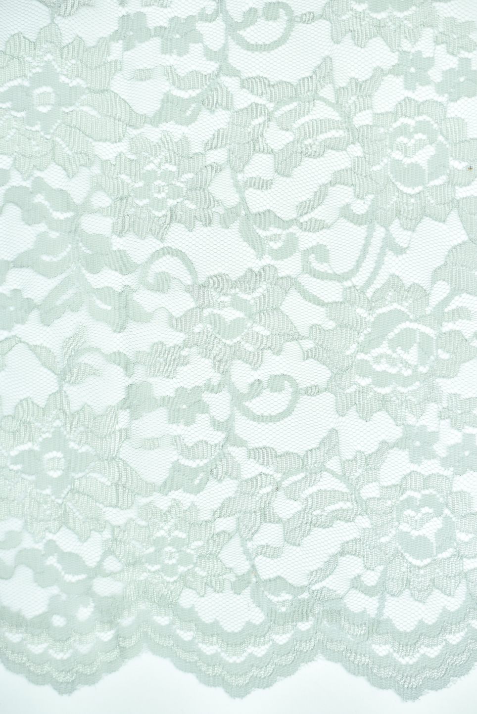 PLAIN JAPANESES LACE